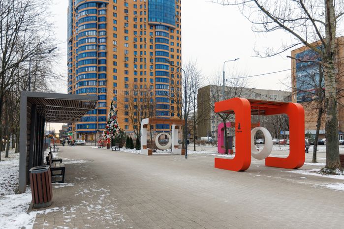 Александровский сквер в Реутове зимой