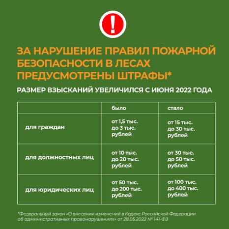комлесхоз_костер_кв_5.jpg