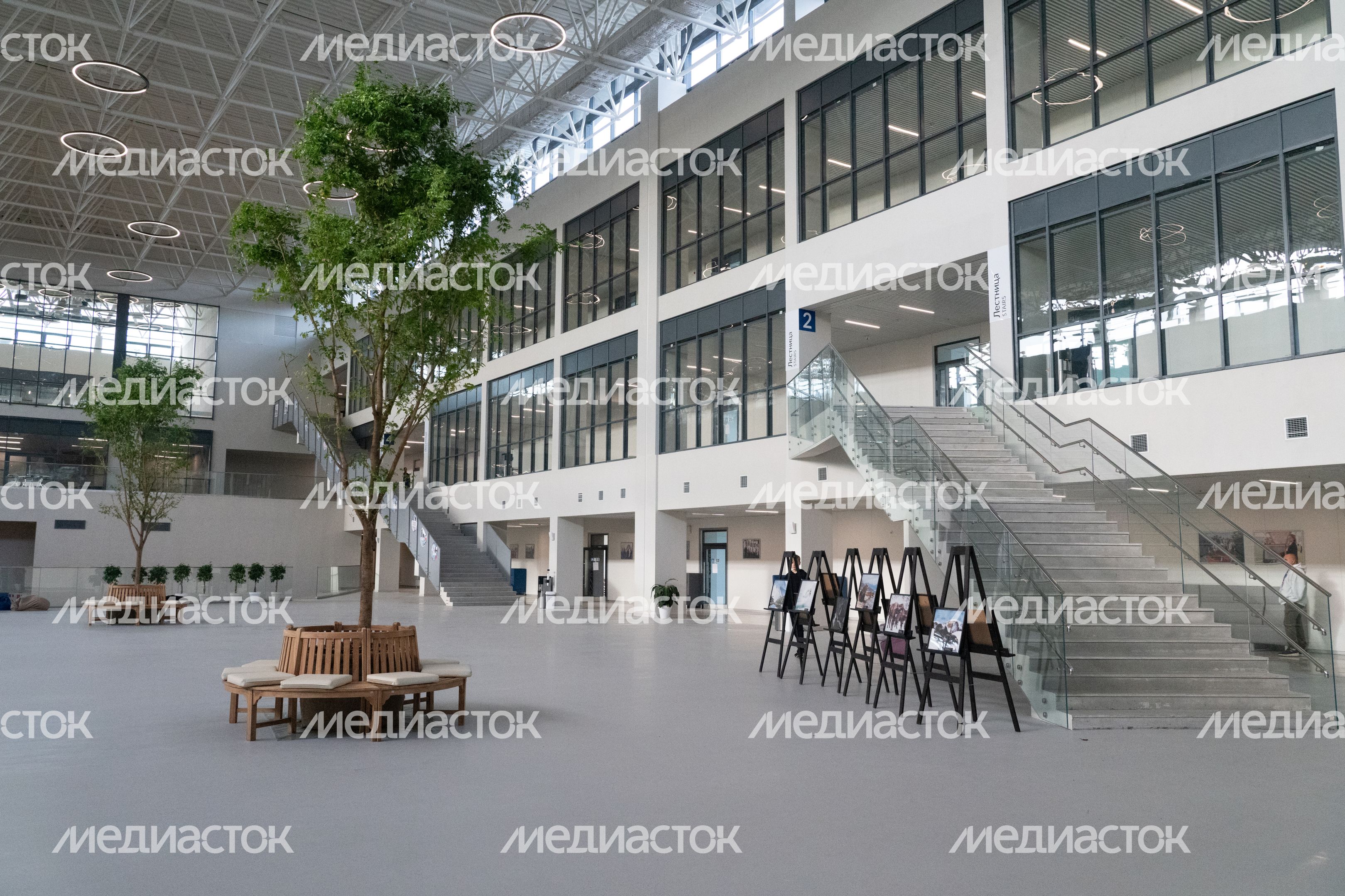 Истра. Областной технолицей им. В.И. Долгих