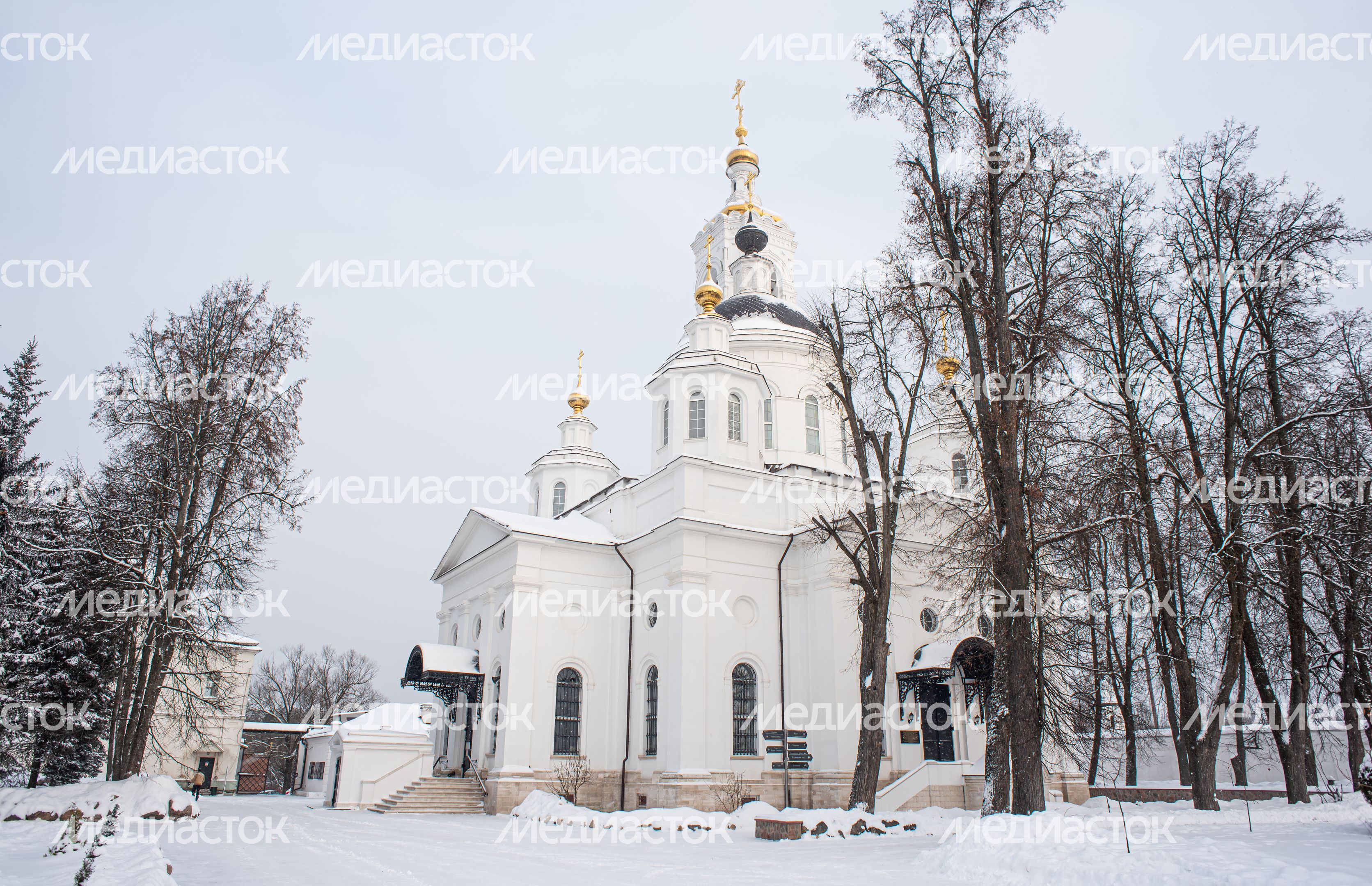 Зимние виды Николо-Берлюковской пустыни