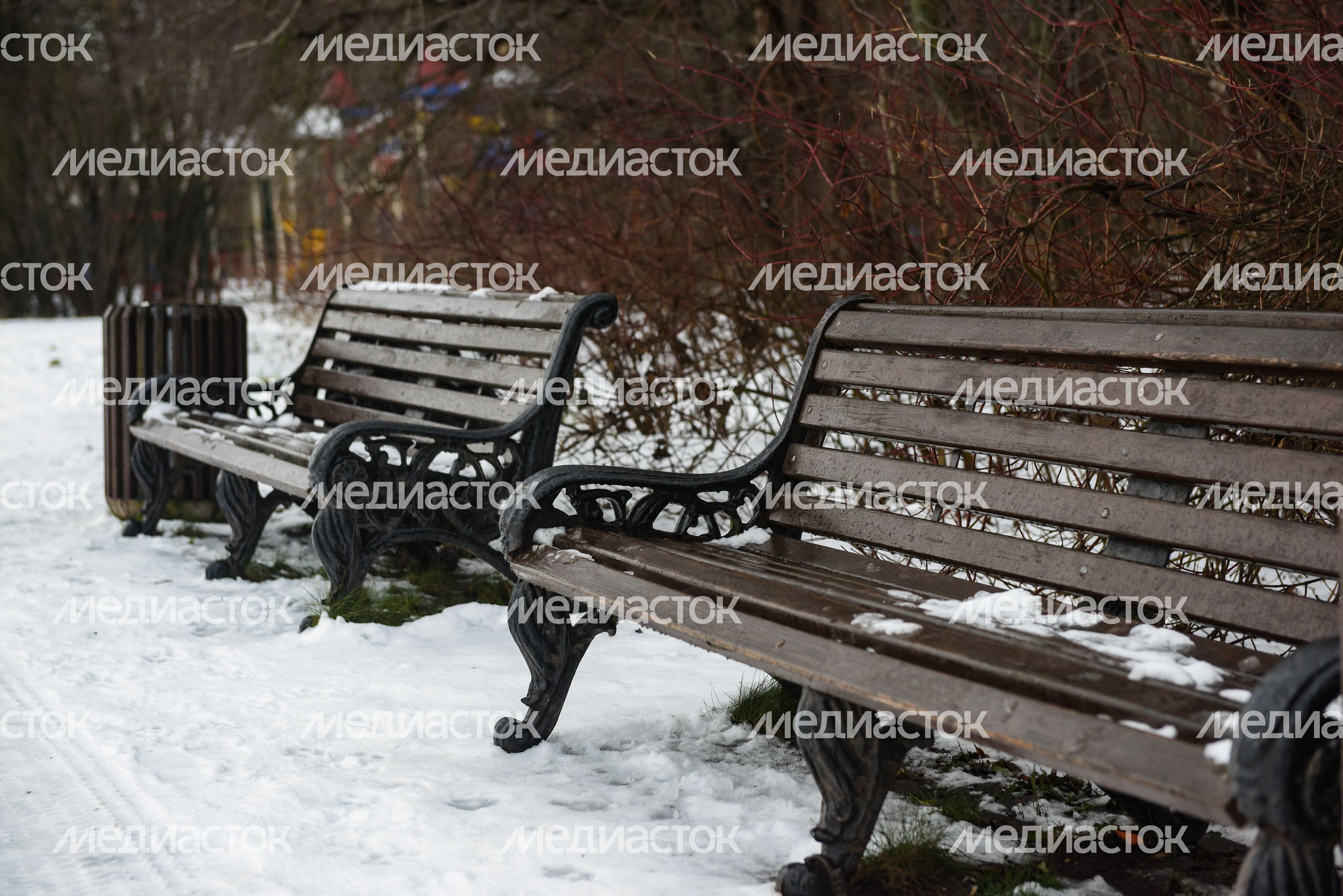 Лесопарк «Кусково»