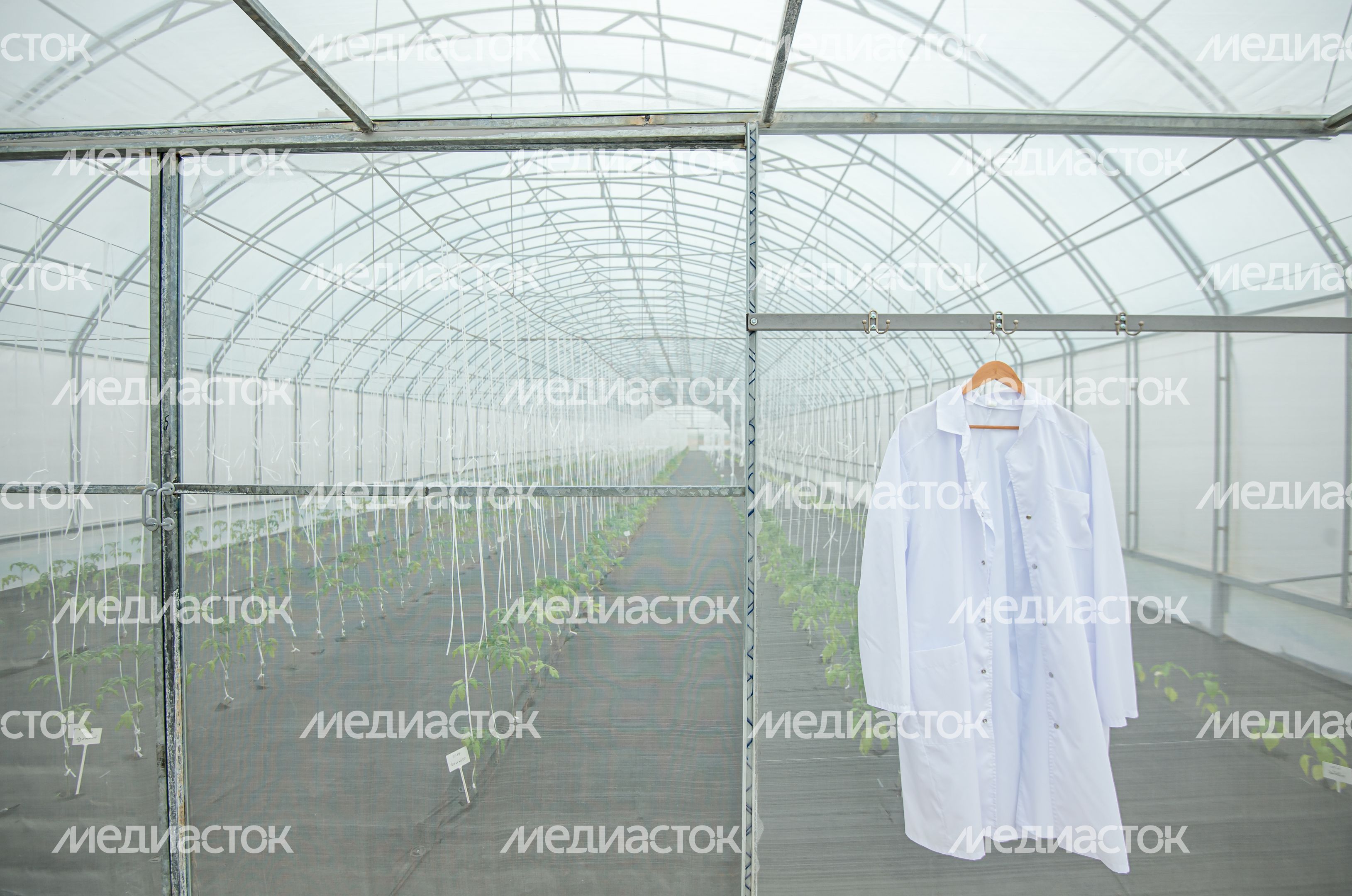 Теплицы крупного семеноводческого агропромышленного комплекса ООО «Агрофирма Партнер» Теплицы крупного семеноводческого агропромышленного комплекса ООО «Агрофирма Партнер»