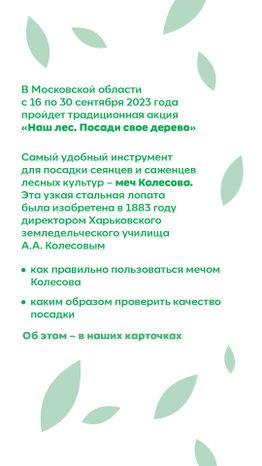 Вертикаль_ меч Колесова_02-100.jpg