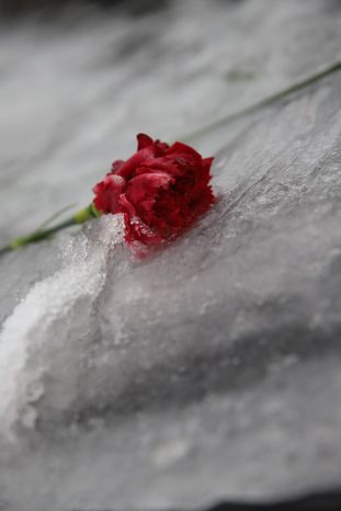 Площадь Славы
