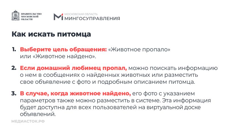Домашние животные горизонталь 07