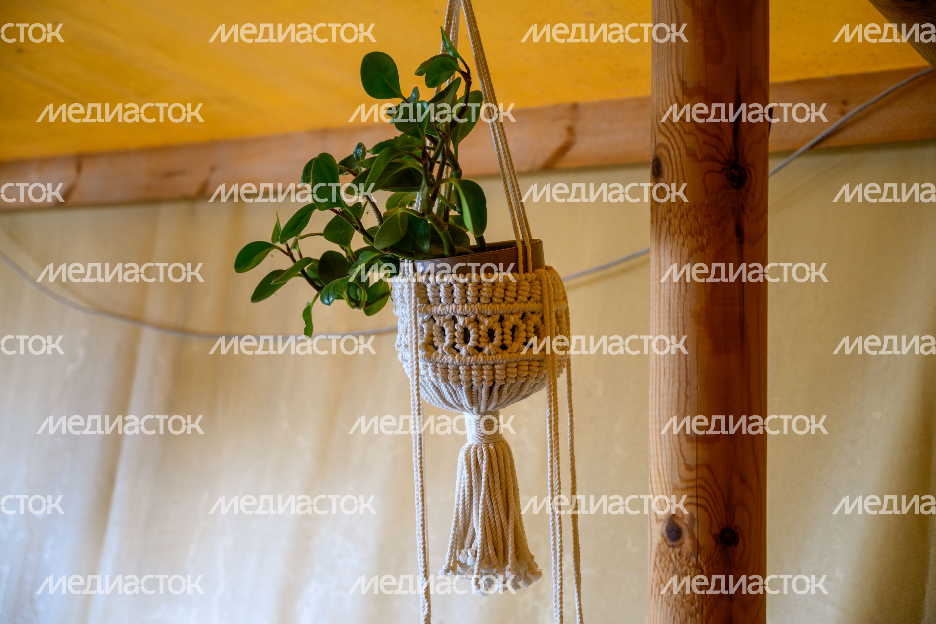 Глэмпинг "Под небом" в Пушкинском городском округе Глэмпинг "Под небом" в Пушкинском городском округе