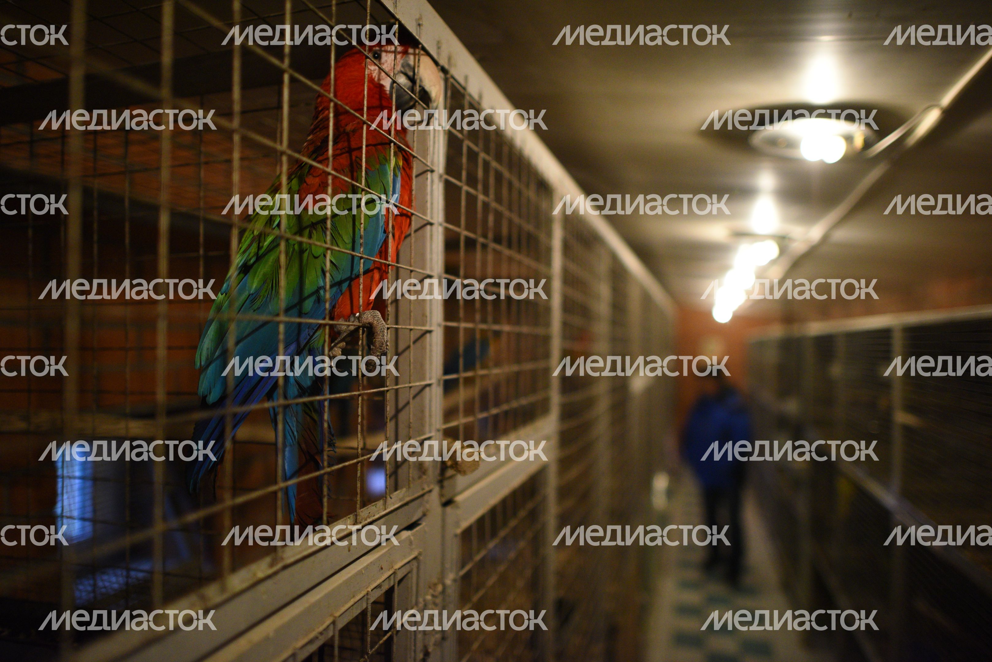 Центр реабилитации диких животных в Дмитровском районе