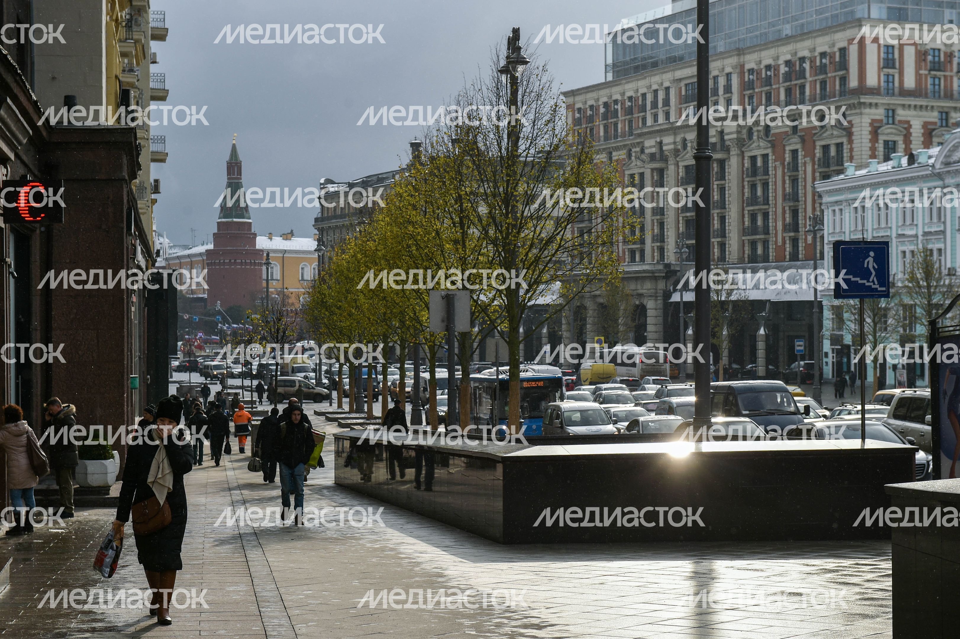 Посадка лип на Тверской улице