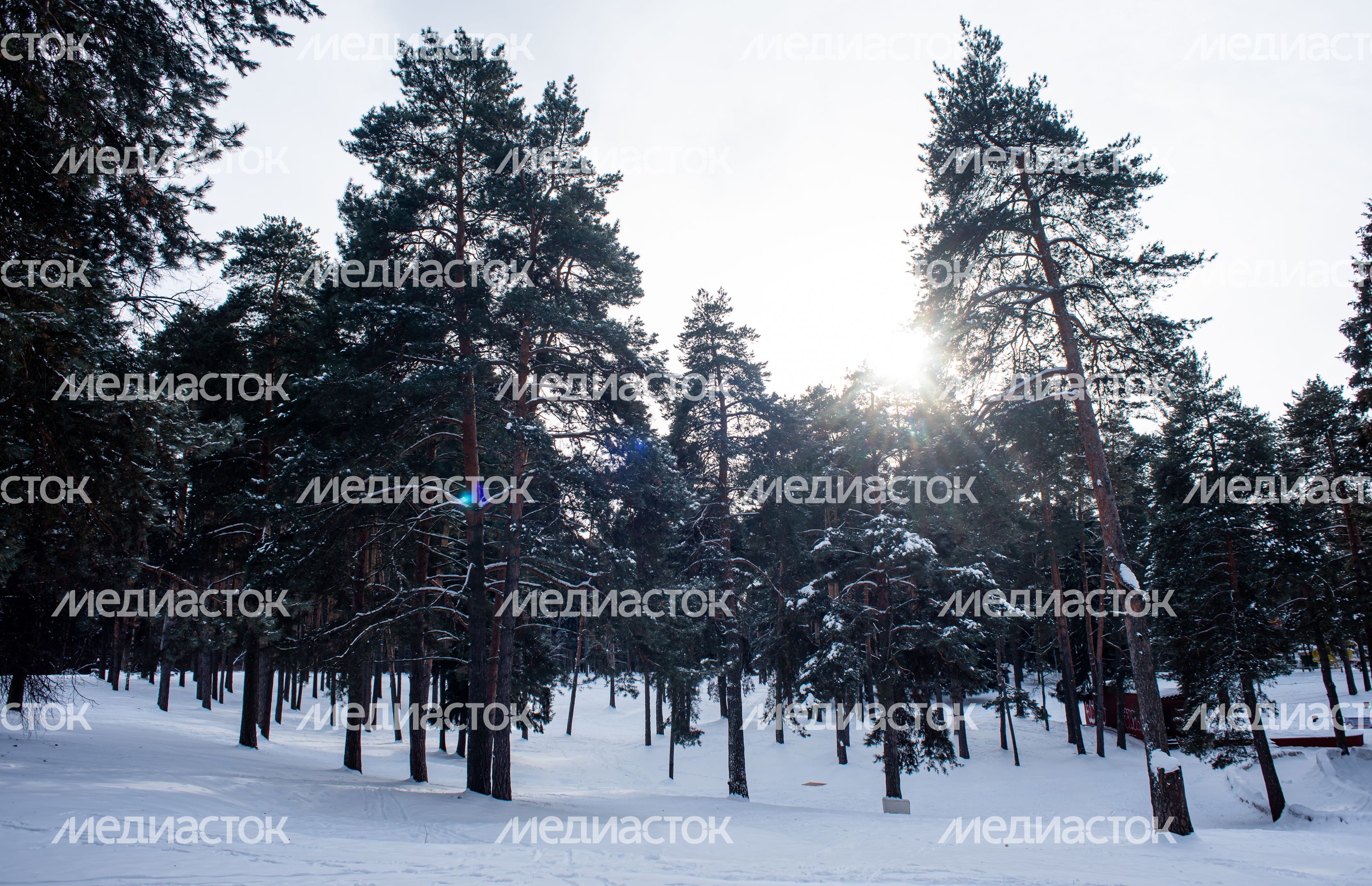 Зимние виды города Жуковский