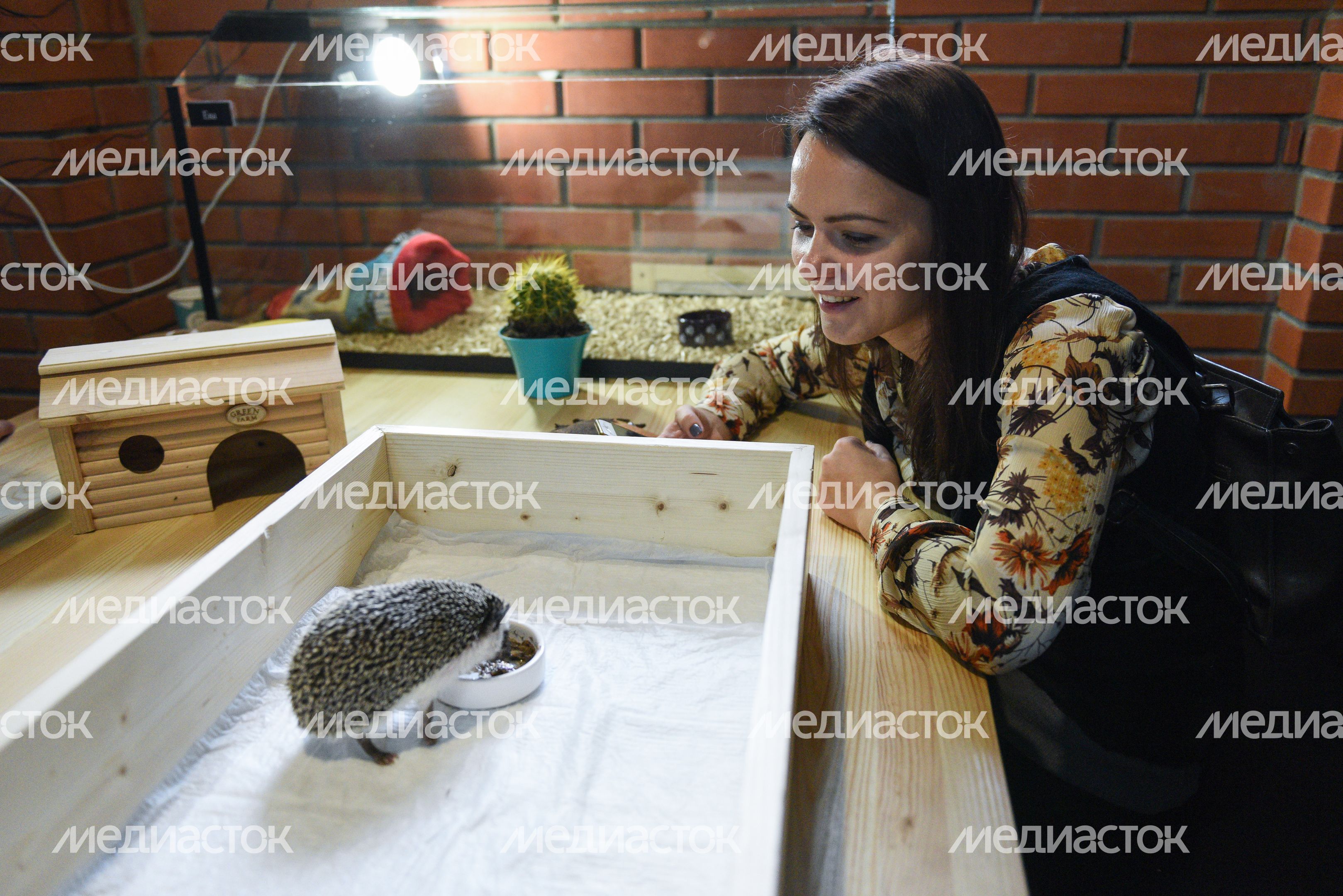 Кафе «Ежеминутка»