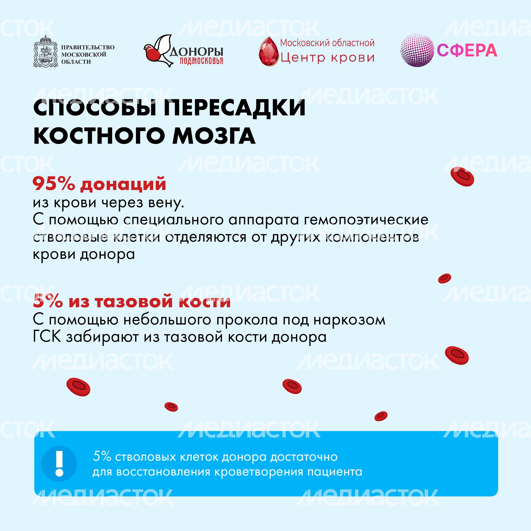 Как стать донором костного мозга квадрат 09