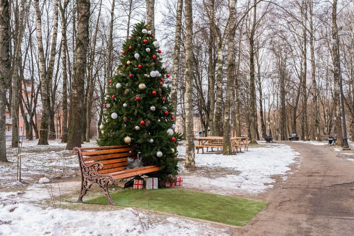 Бронзовая скульптура кота Модеста в Сестрорецком парке города Клин