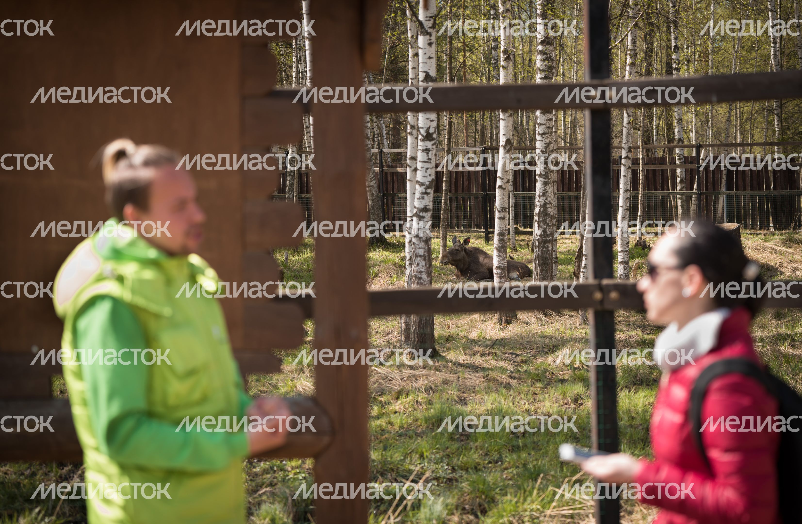 Национальный парк Лосиный остров