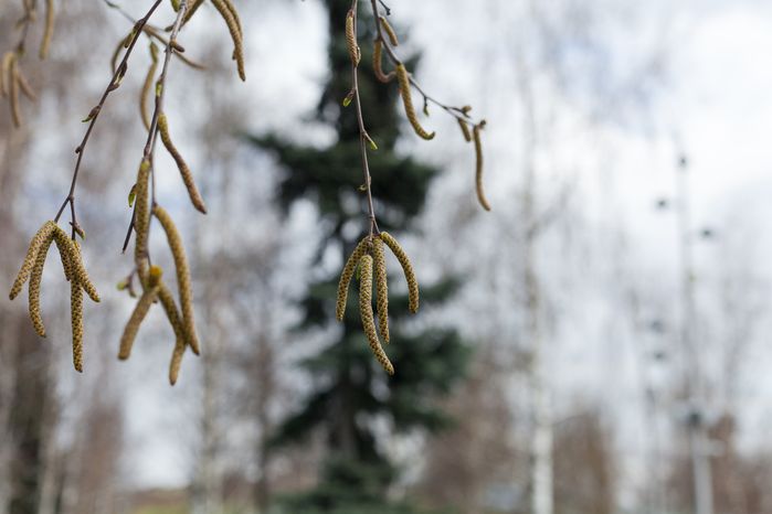 Весна в городе Дзержинский