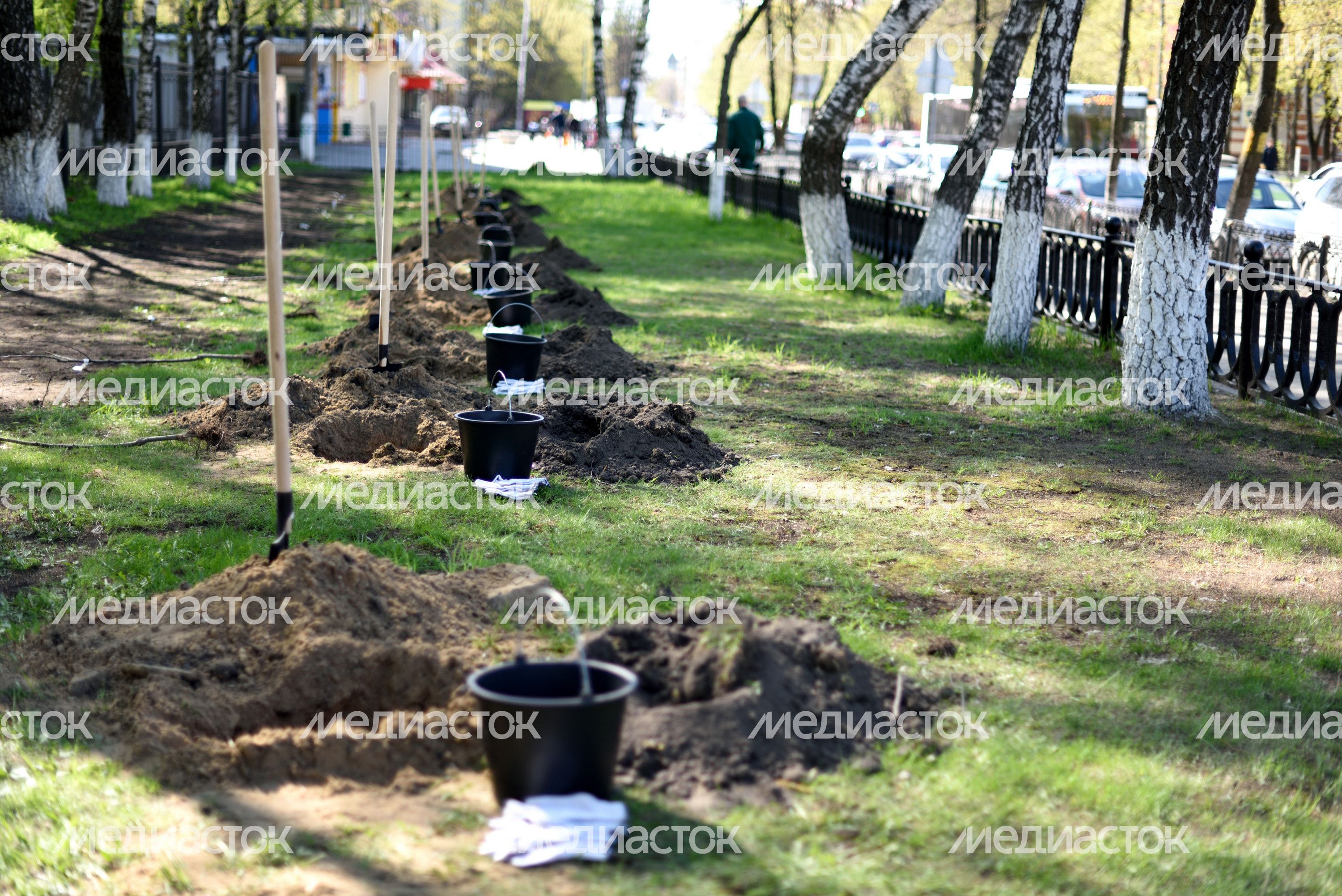 Акция «Сад Победы» в Балашихе