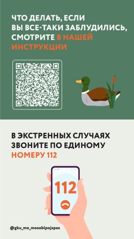 Вертикаль грибы 07.jpg