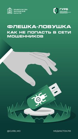 Флешка-ловушка вертикаль 01