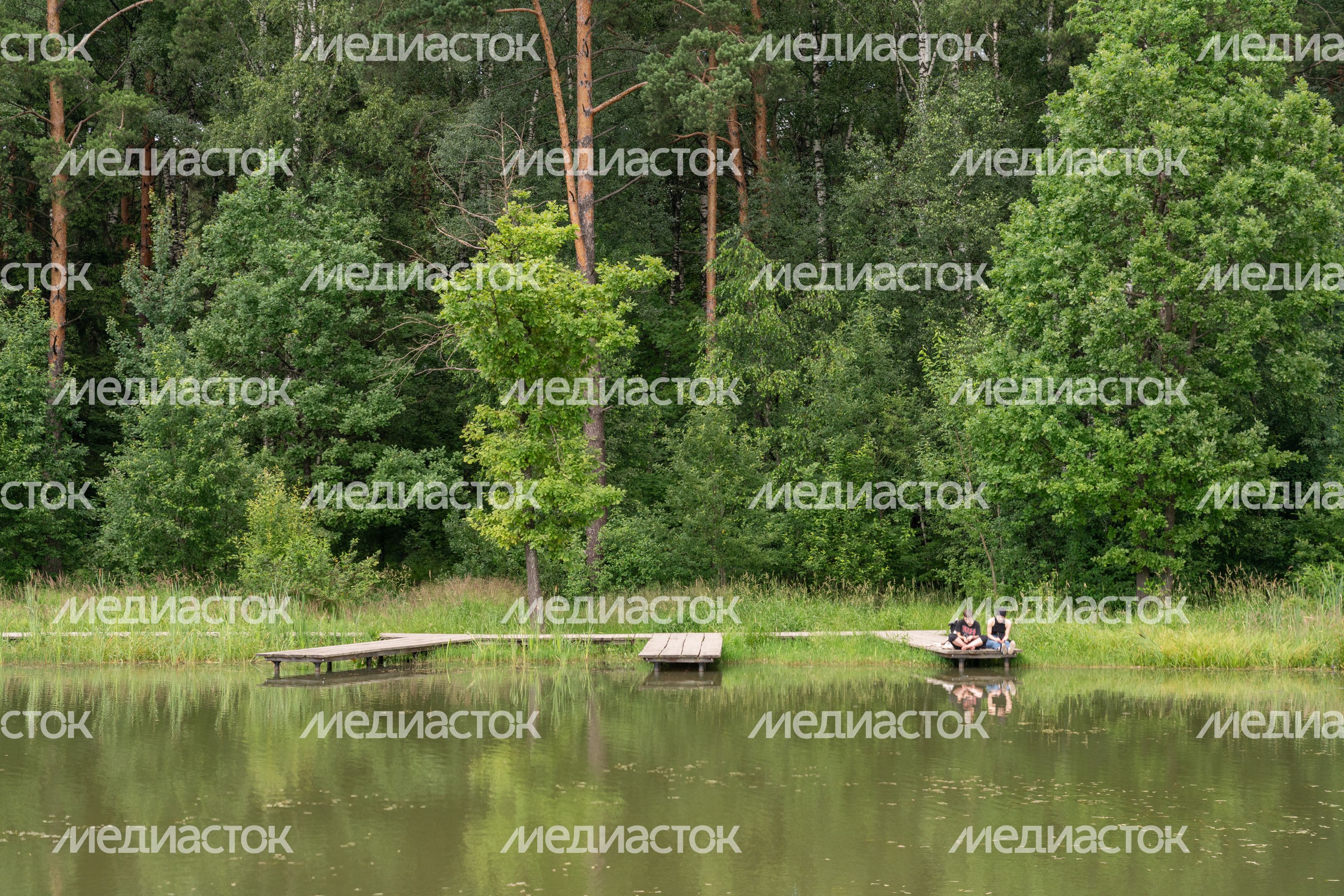 Мещерский парк летом