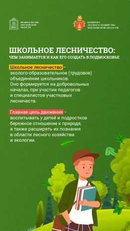 Вертикаль_Школьные лесничестваArtboard 1.jpg