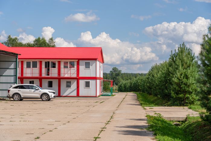 Подмосковная голубика в плодопитомнике «Ягода-малина», округ Шаховская