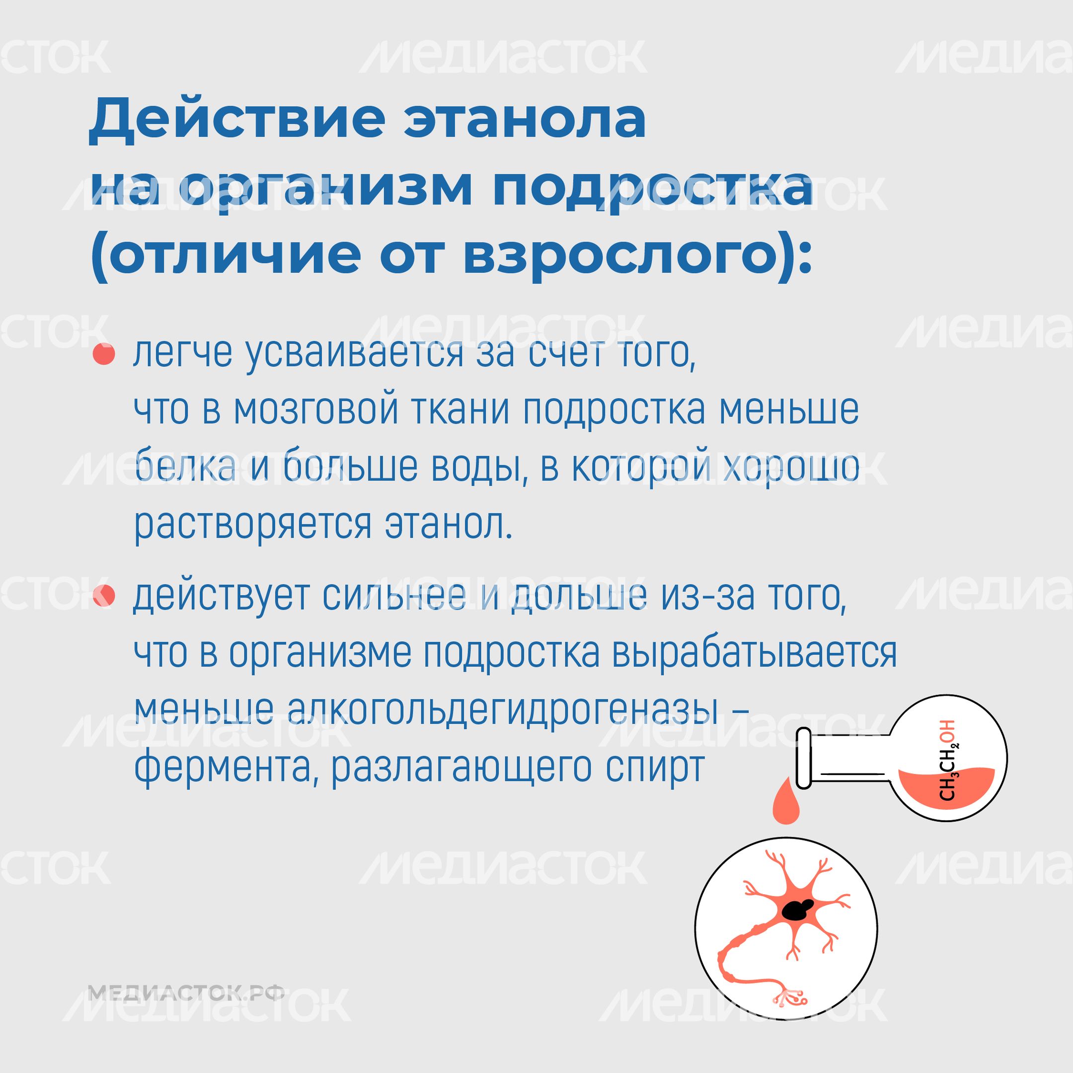 Алкоголь и развитие мозга квадрат 07 Алкоголь и развитие мозга квадрат 07