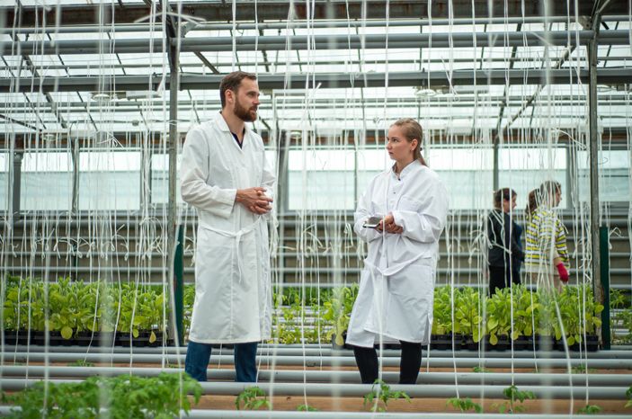 Теплицы крупного семеноводческого агропромышленного комплекса ООО «Агрофирма Партнер»