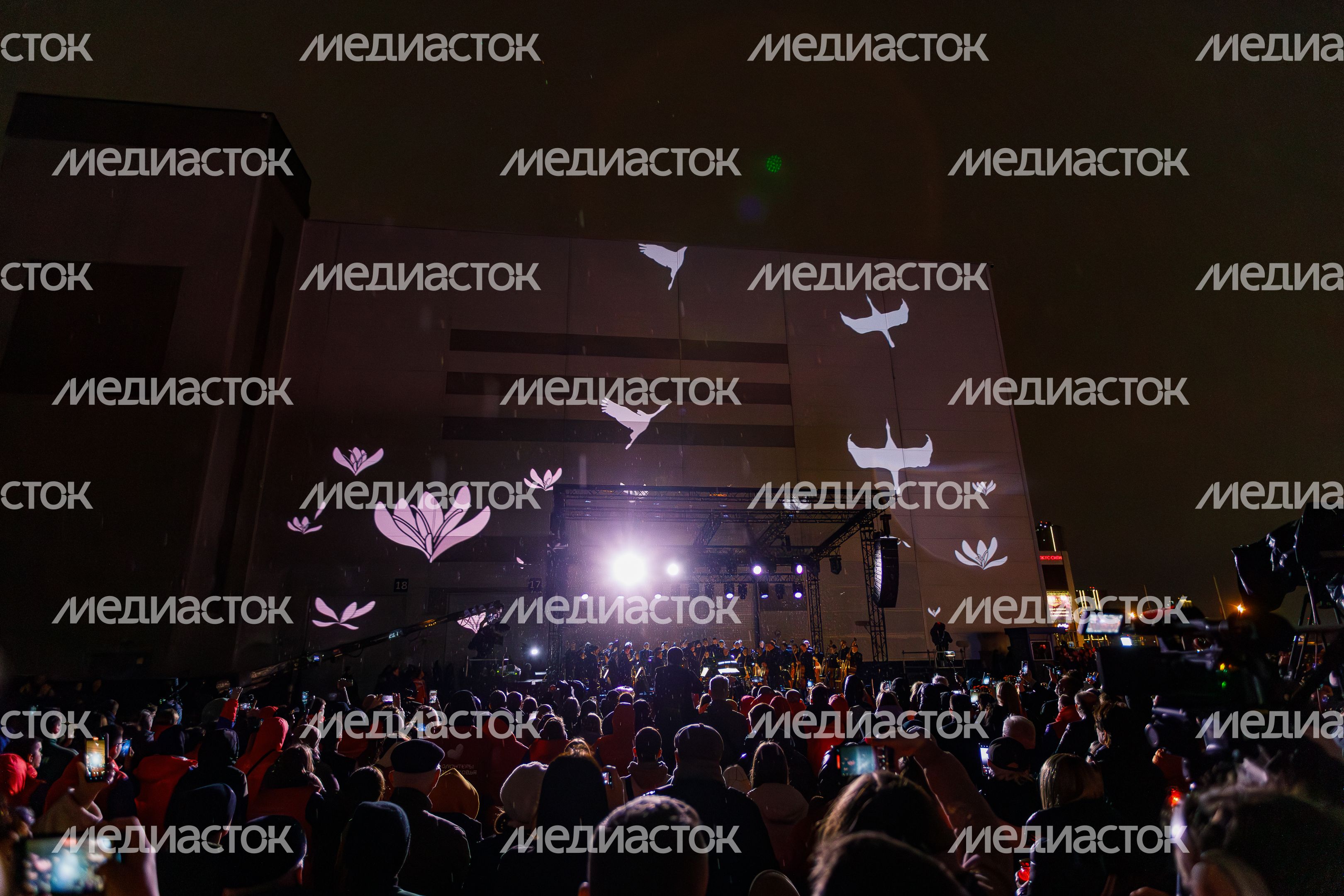 День памяти жертв теракта - акция памяти "Журавли" на девятый день после трагедии в "Крокус сити холле"