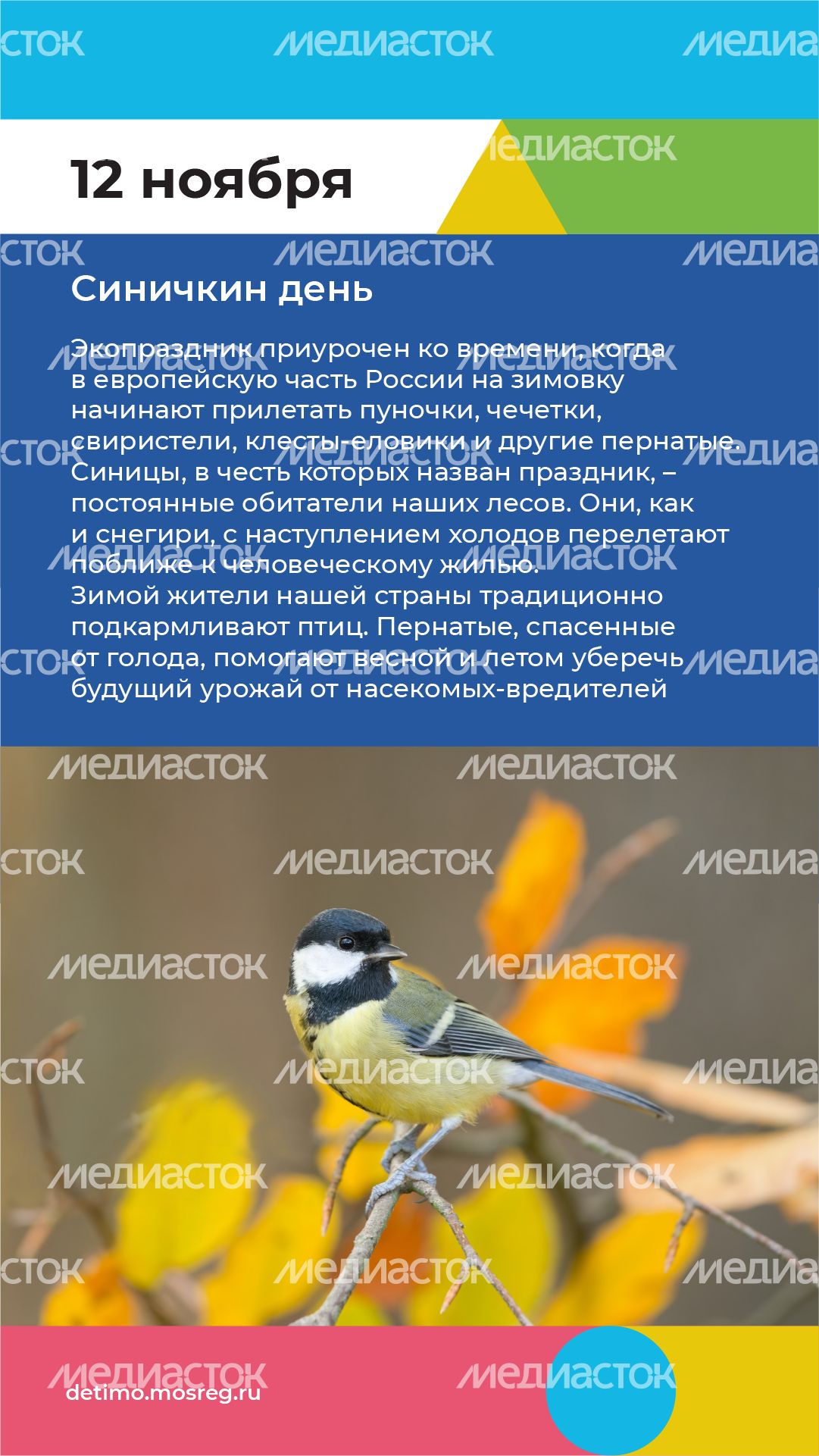 Календарь на ноябрь - вертикаль - 05.png