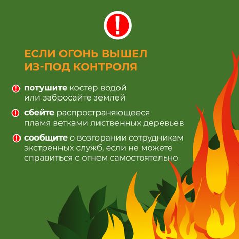 комлесхоз_костер_кв_7.jpg
