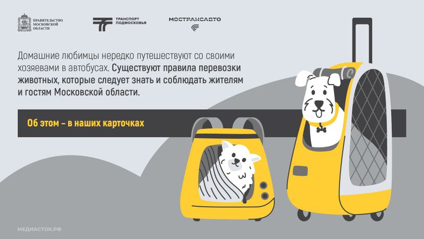 Правила перевозки животных горизонталь 02