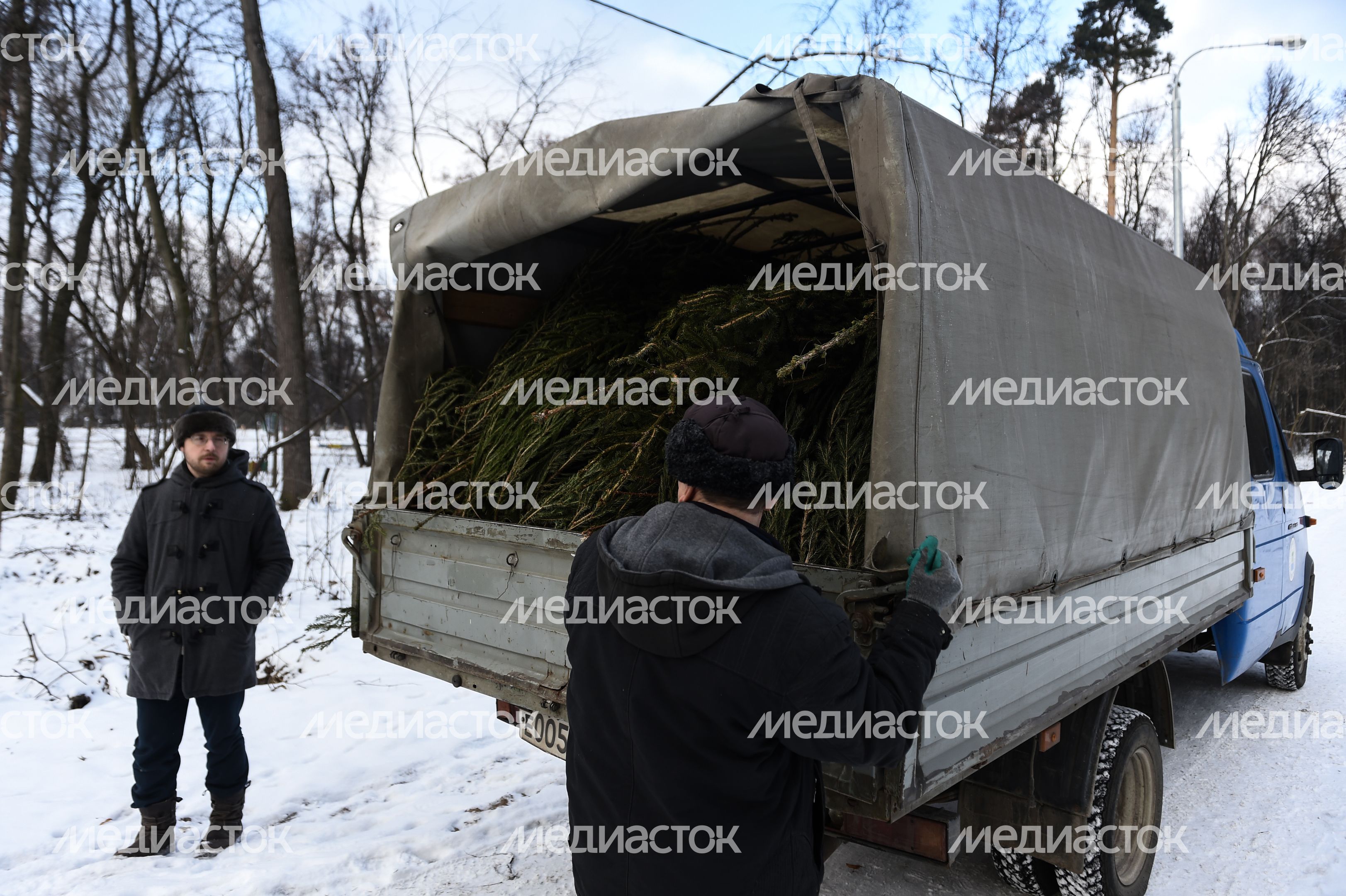Утилизация елок после Нового года в Москве
