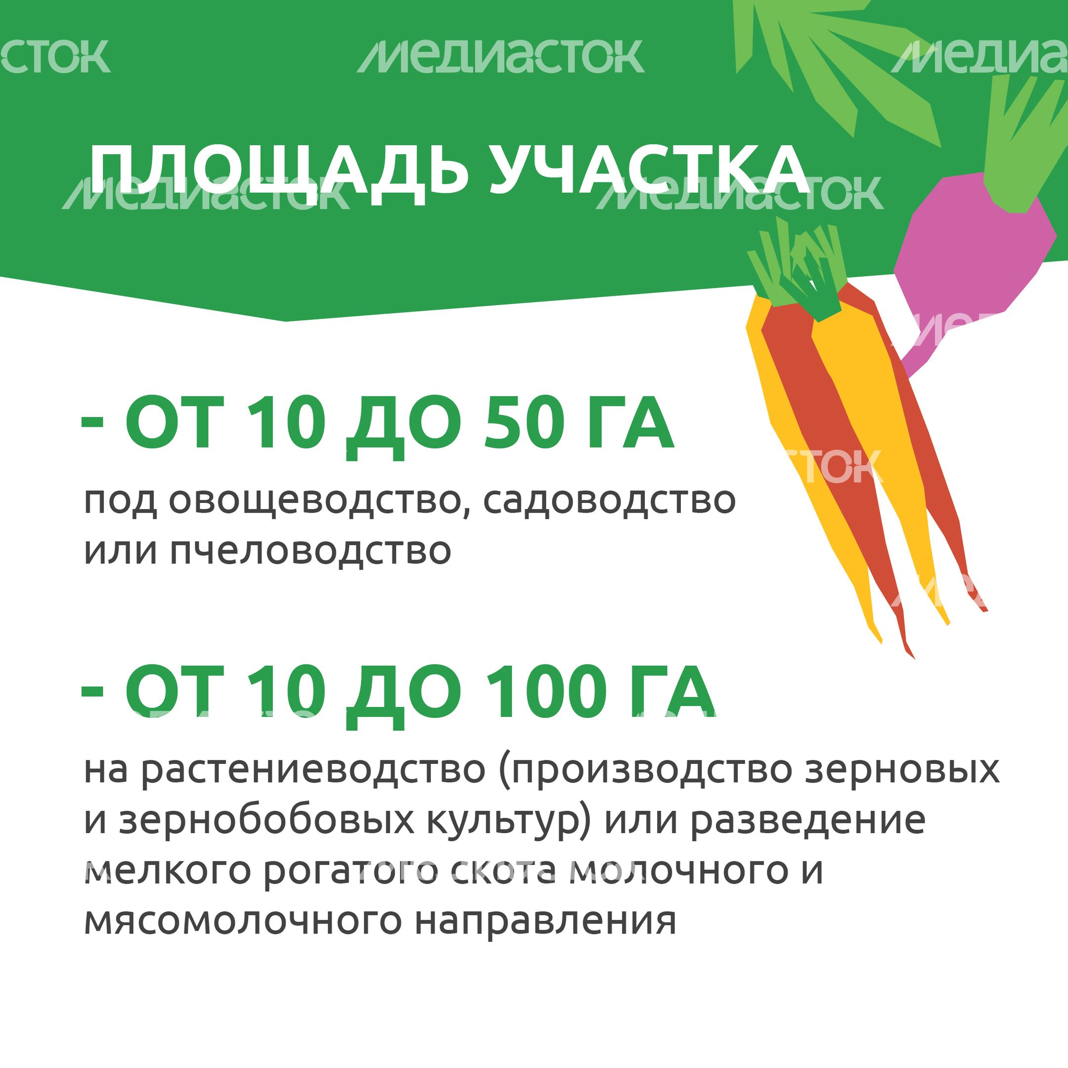 _Подмосковье 10г_-21.jpg