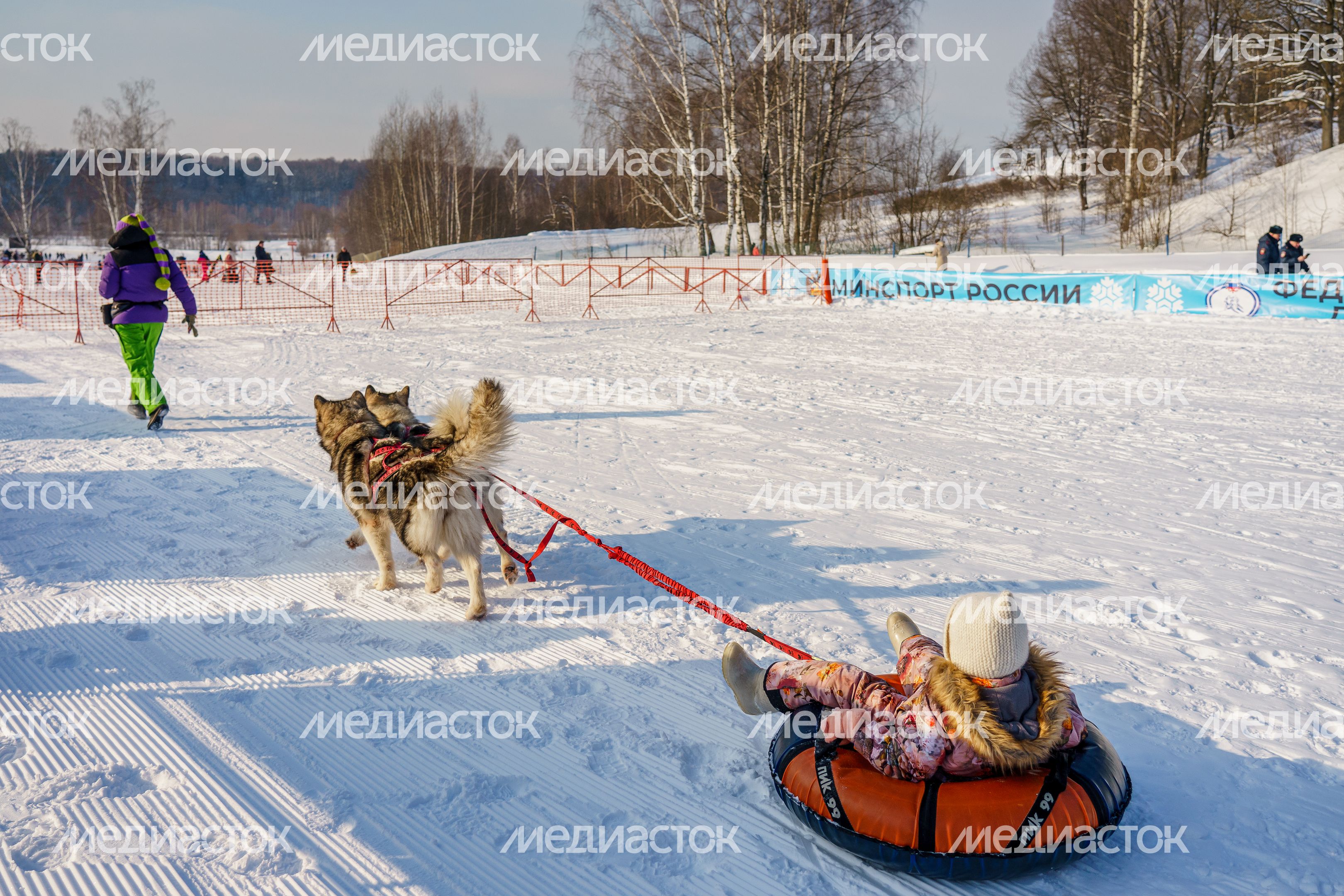 Массовая гонка «Лыжня России-2024» в Химках Массовая гонка «Лыжня России-2024» в Химках