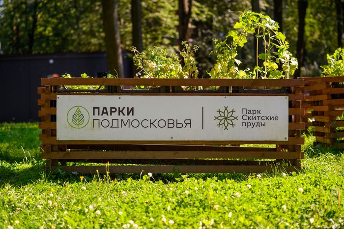 Парк "Скитские пруды" в Сергиевом Посаде. Лето