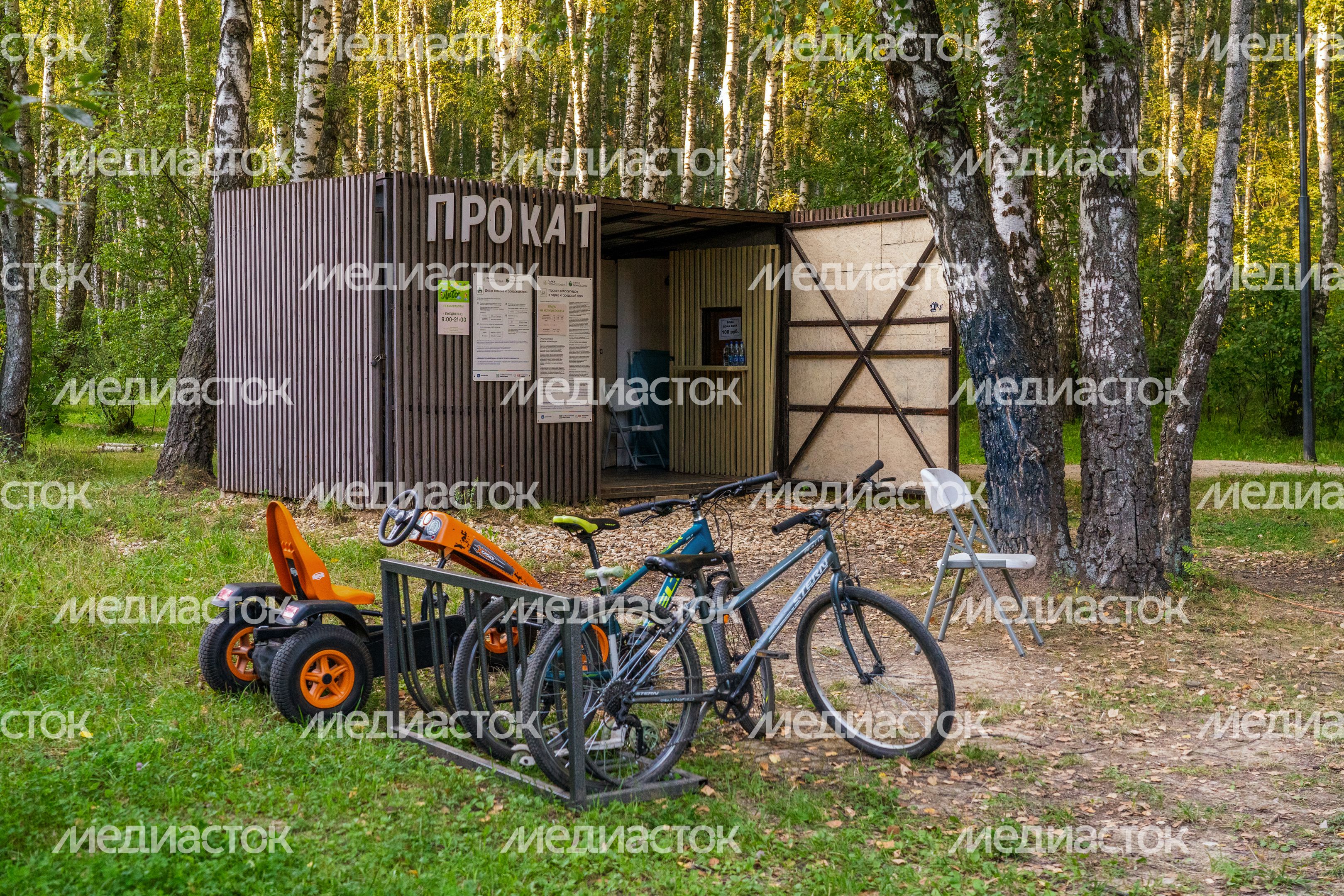 Прокат в лесопарке «Городской лес» в Домодедово