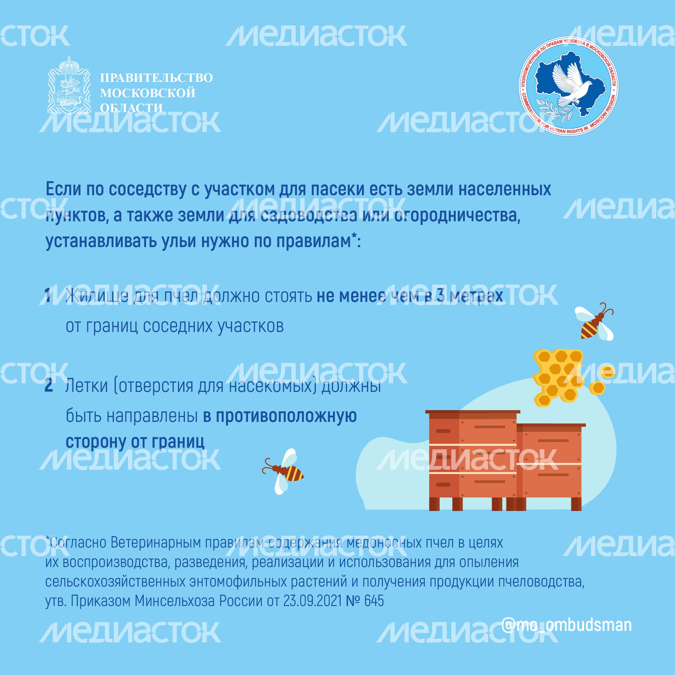 Квадрат Вопрос-ответ. Пчеловодство-03.jpg