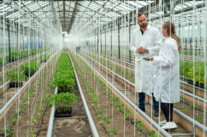 Теплицы крупного семеноводческого агропромышленного комплекса ООО «Агрофирма Партнер»