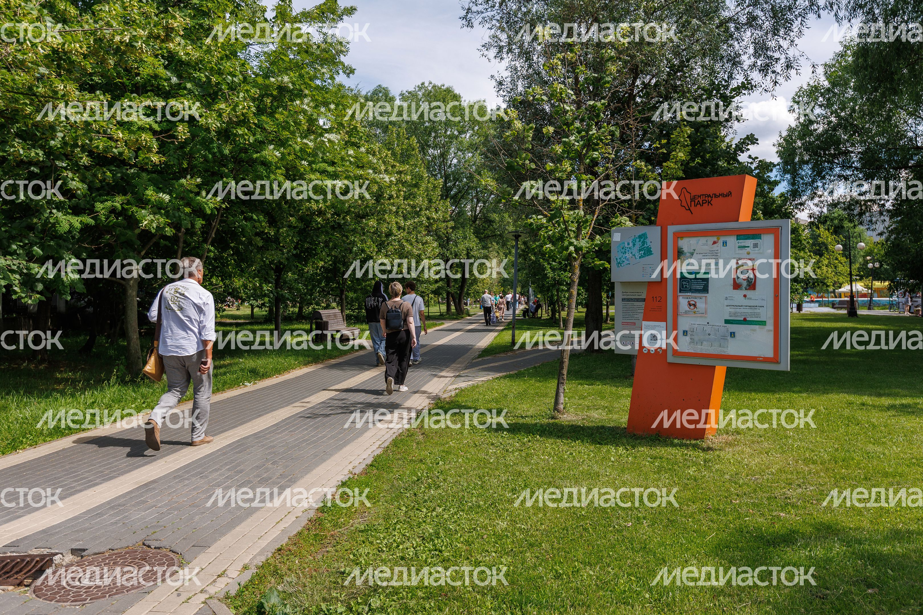 Центральный парк Реутова летом Центральный парк Реутова летом