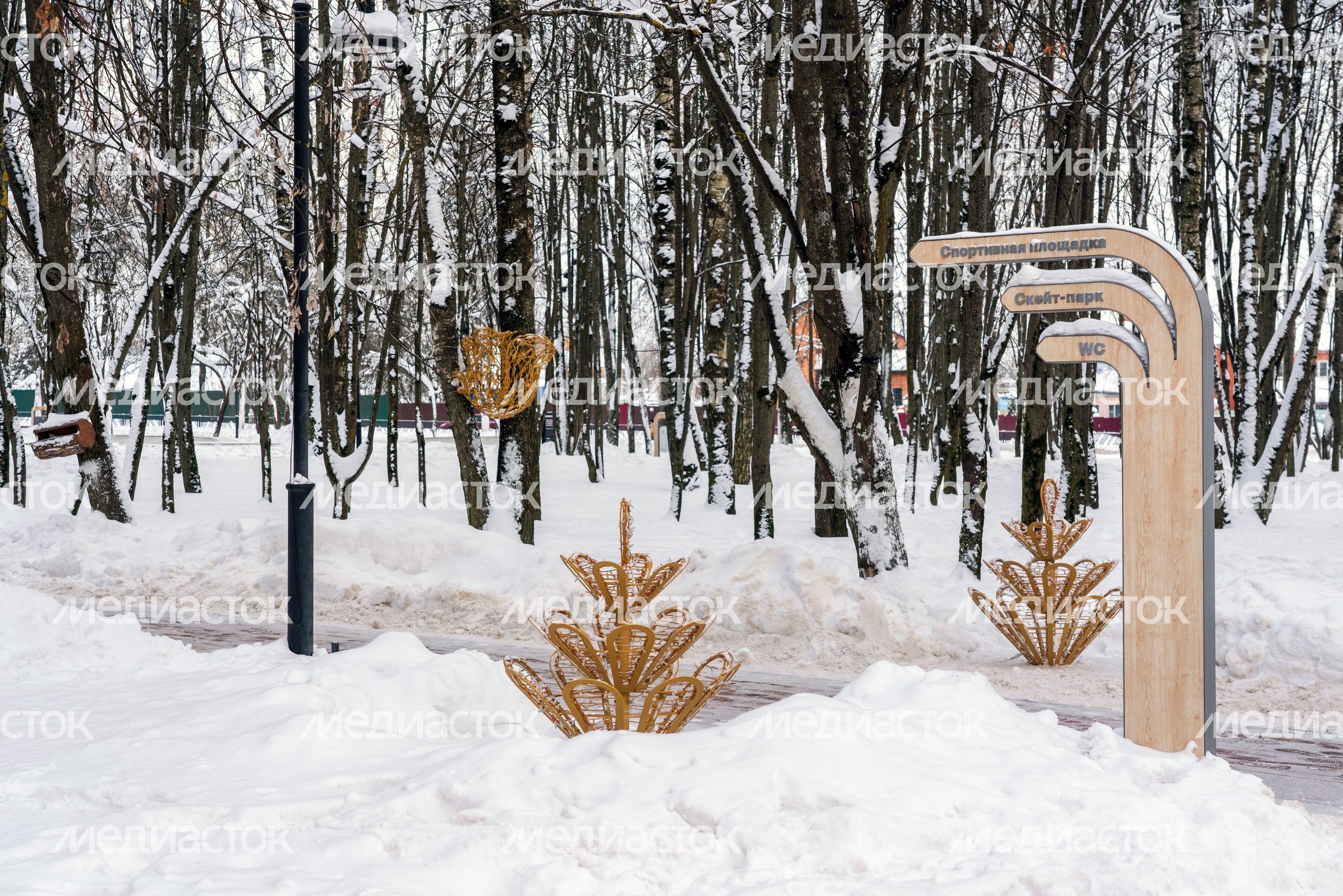 Зима в городском парке «Гучково» в Дедовске округа Истра Зима в городском парке «Гучково» в Дедовске округа Истра