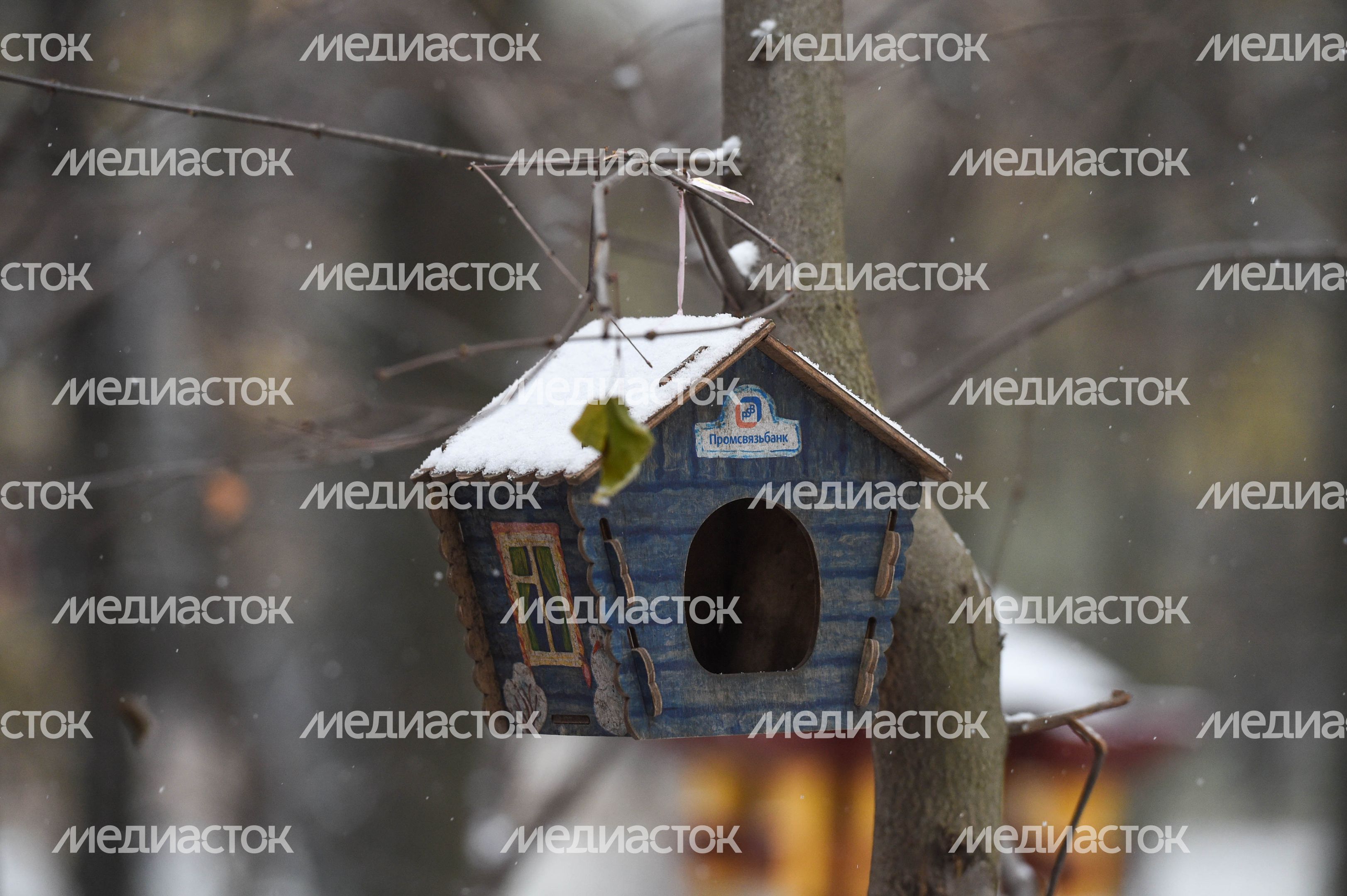 Первый снег в Москве