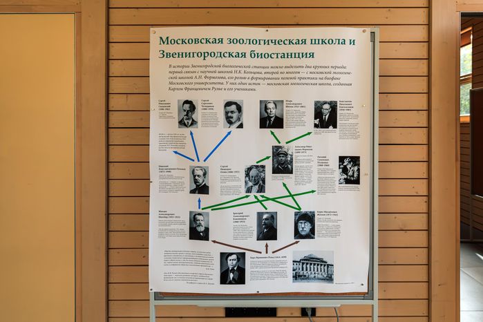 Заказник "Звенигородская биологическая станция имени С.Н. Скадовского МГУ"