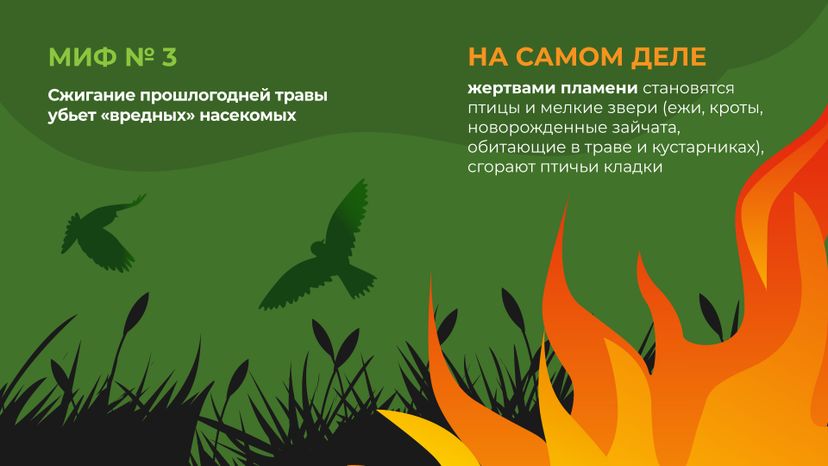 пал_гор_4.jpg