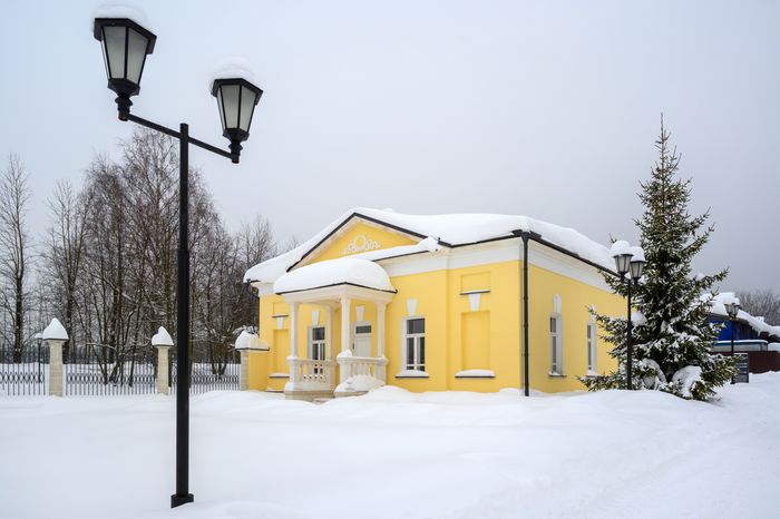 Усадьба Гребнево зимой в Щелково
