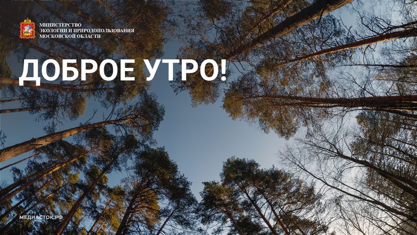 Доброе утро горизонталь 05