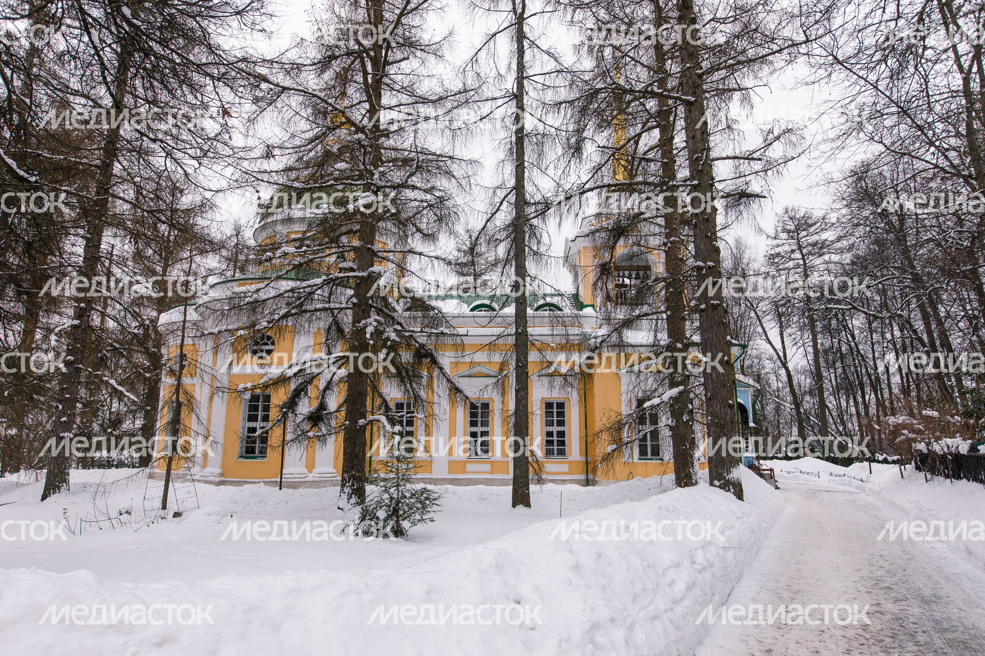 Церковь Рождества Пресвятой Богородицы в селе Льялово