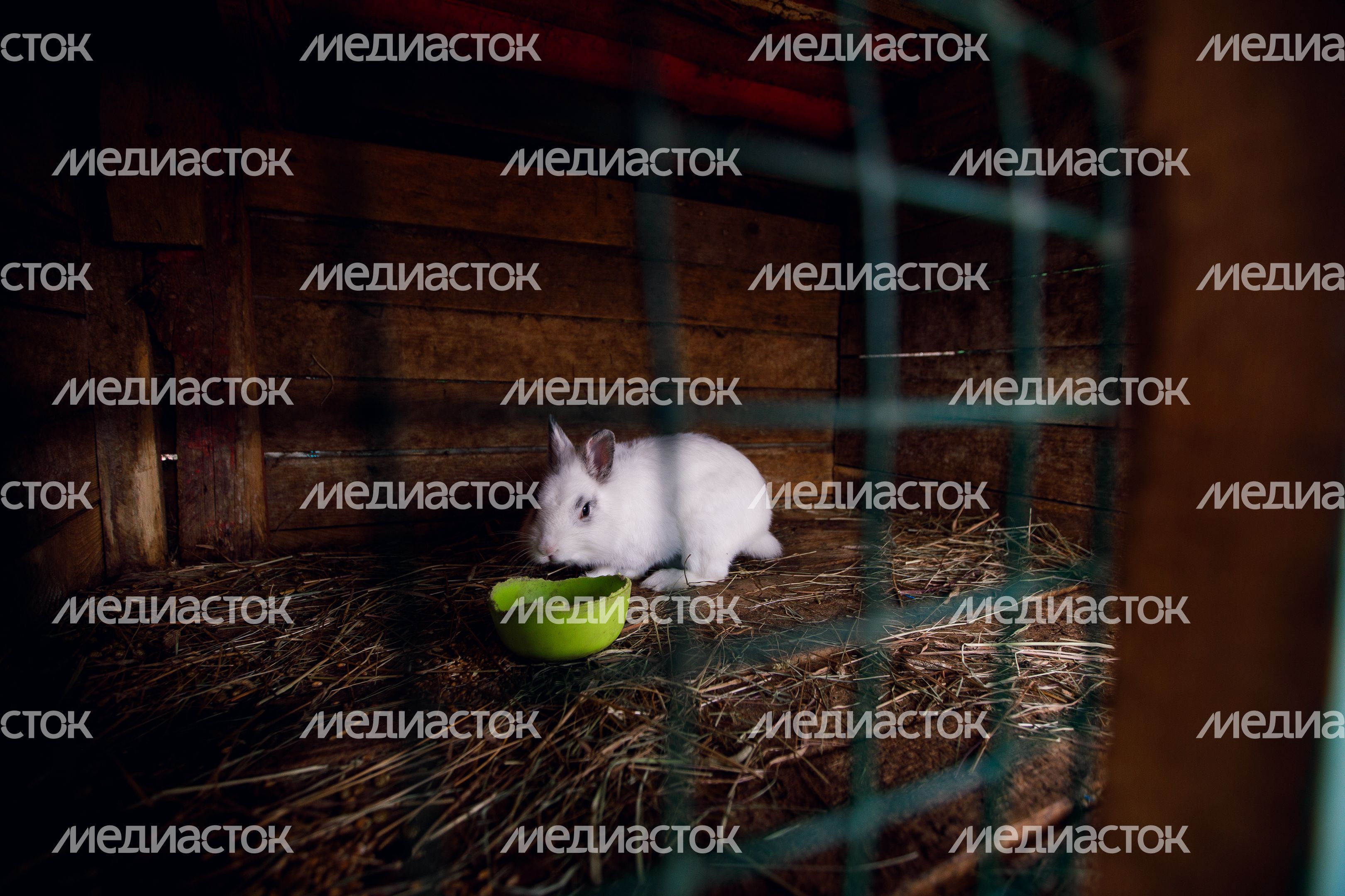 Домодедово. Музей Сказок Домодедово. Музей Сказок