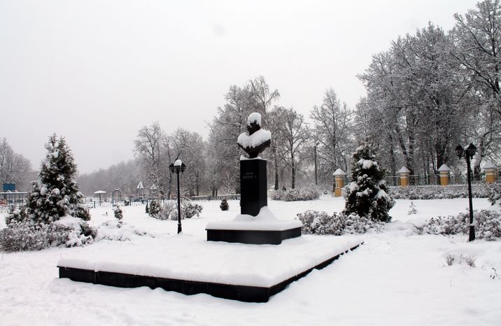 Памятник Петру I в Лосино-Петровском