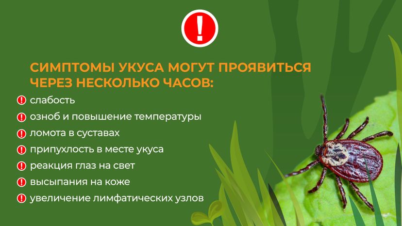 комлесхоз_клещи_гор_6