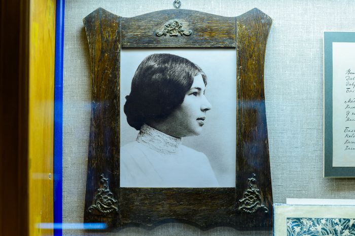 Солнечногорск. Выставка «Жизнь без начала и конца» в усадьбе Тараканово