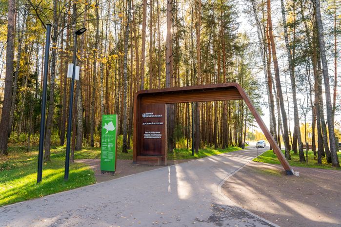 Лесопарк «Соколиная гора» осенью в Истре